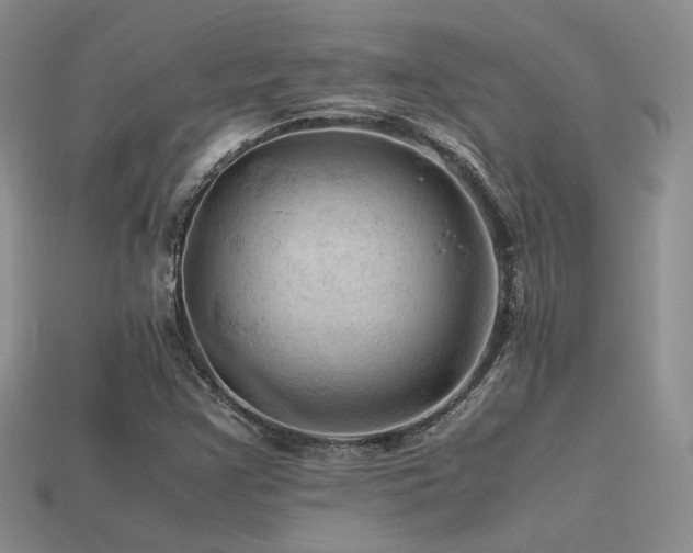 X0000113591355200909181323