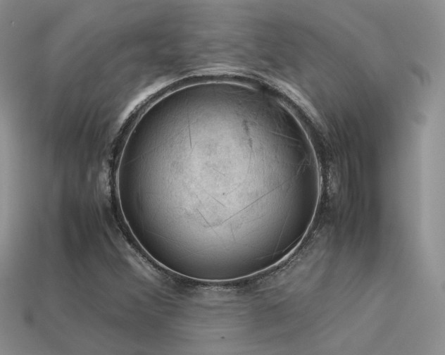 X0000113591356200909181323