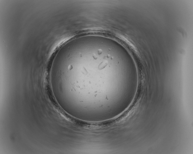 X0000113591357200909181323