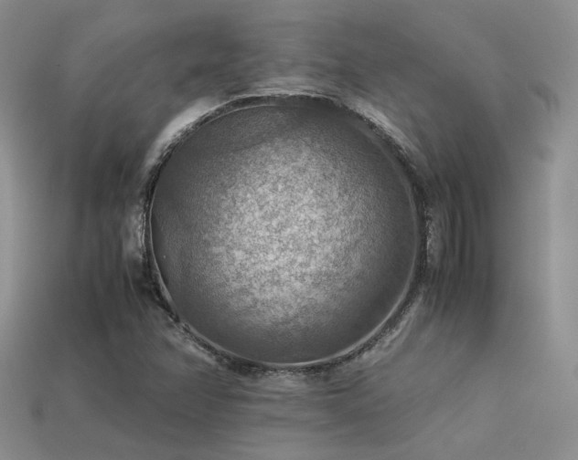 X0000113591358200909181323