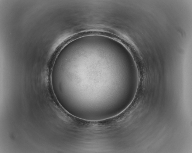 X0000113591360200909181323