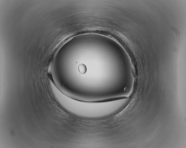 X0000113591361200909181323