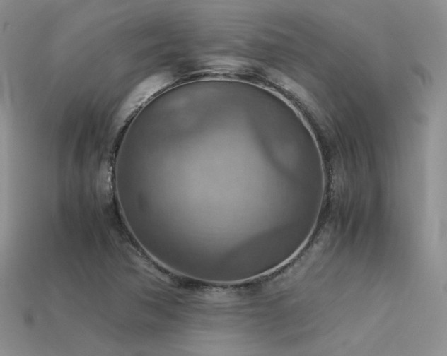 X0000113591362200909181323