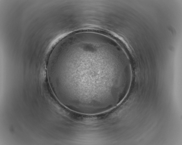 X0000113591363200909181323