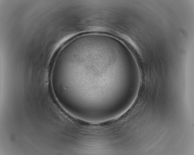 X0000113591364200909181323