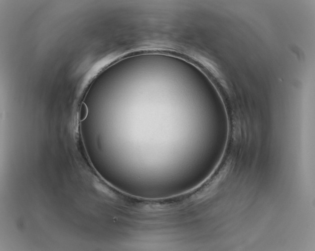 X0000113591366200909181323