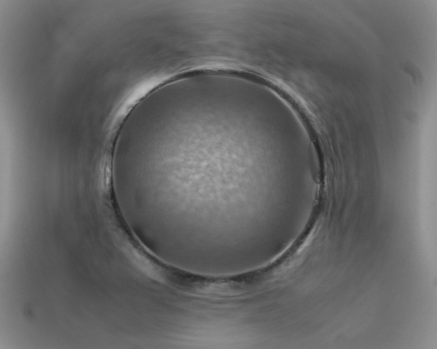 X0000113591367200909181323