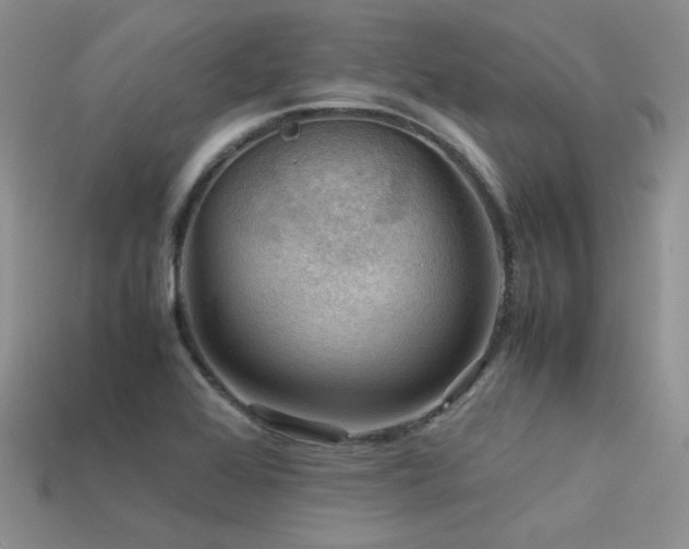 X0000113591368200909181323