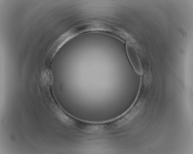 X0000113591369200909181323