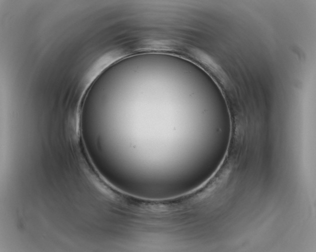 X0000113591370200909181323