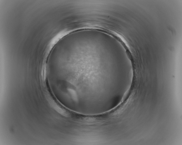 X0000113591371200909181323