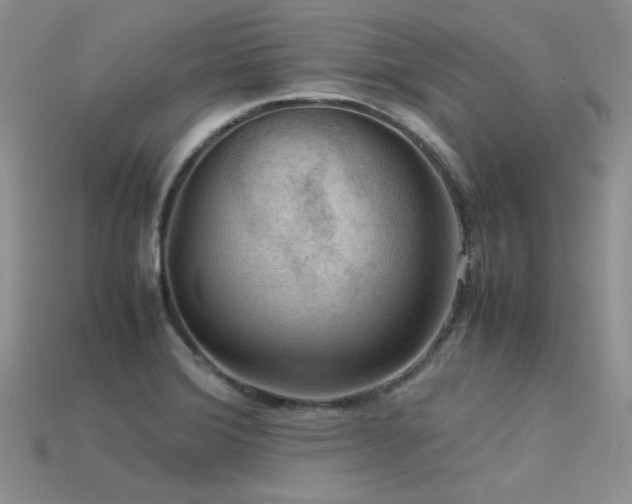 X0000113591372200909181323