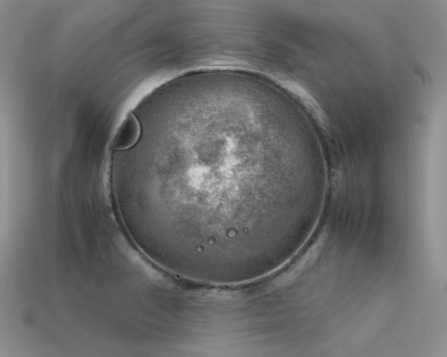 X0000113591374200909181323