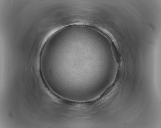 X0000113591375200909181323