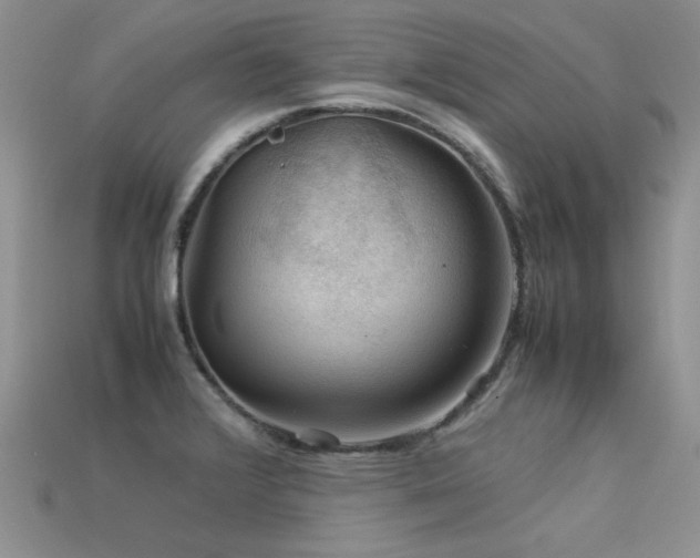 X0000113591376200909181323