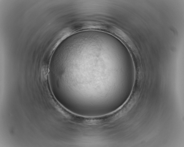 X0000113591377200909181323