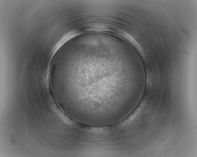 X0000113591378200909181323