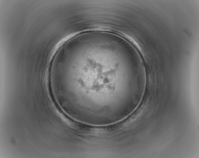 X0000113591379200909181322