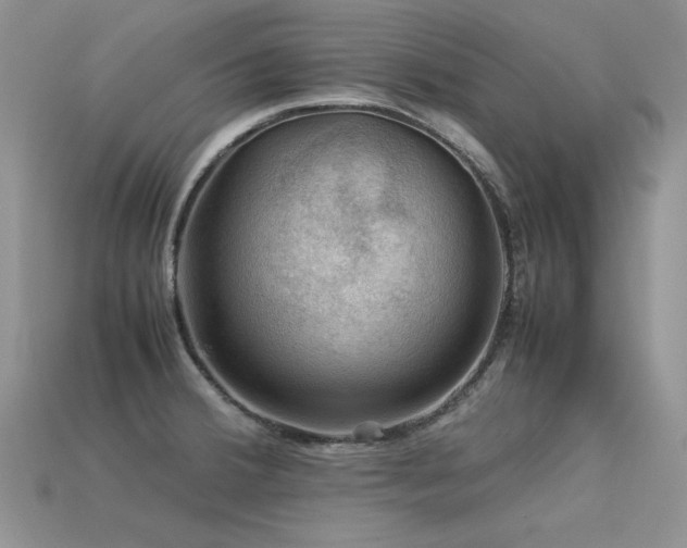 X0000113591380200909181322