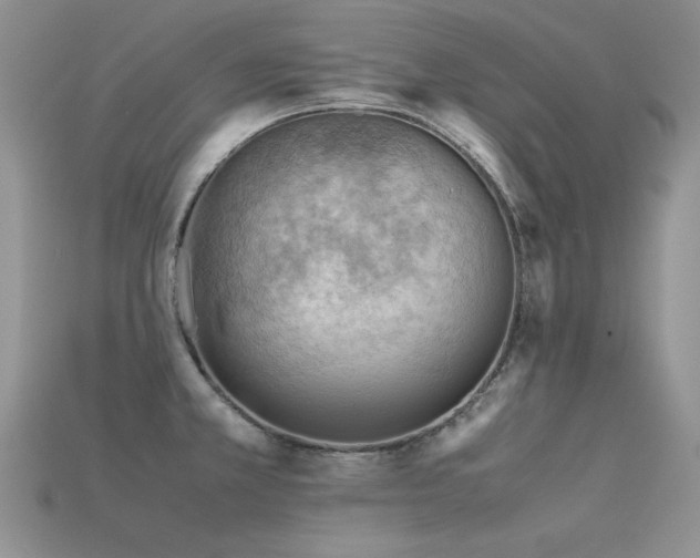 X0000113591381200909181322