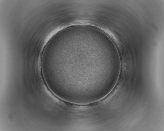 X0000113591382200909181322