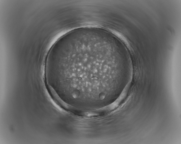 X0000113591383200909181322