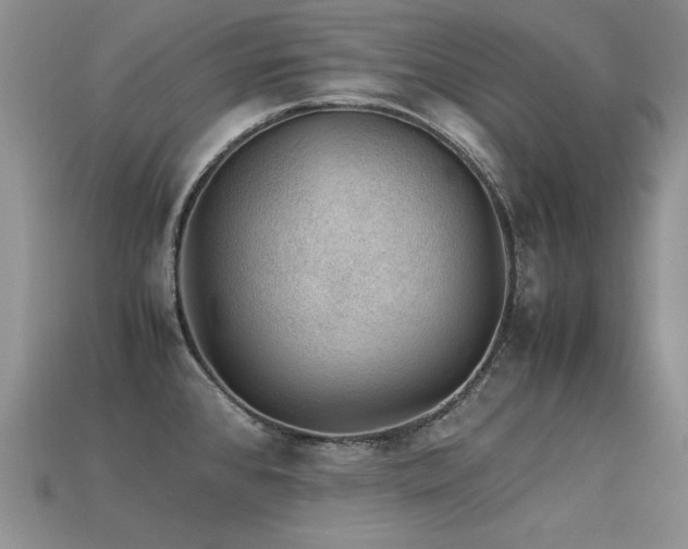 X0000113591384200909181322