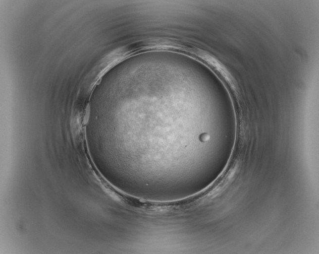 X0000113591385200909181322