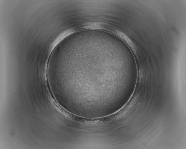 X0000113591386200909181322