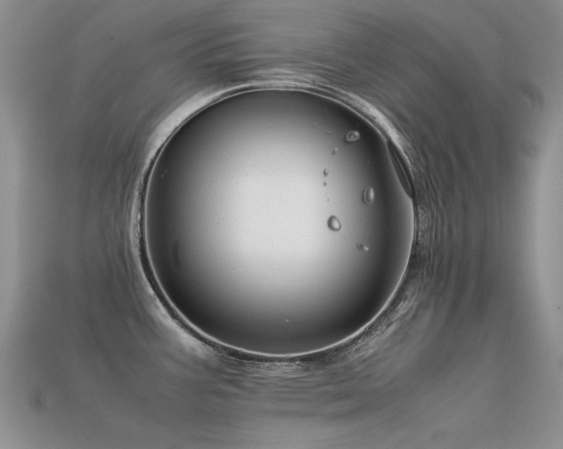 X0000113591387200909181322