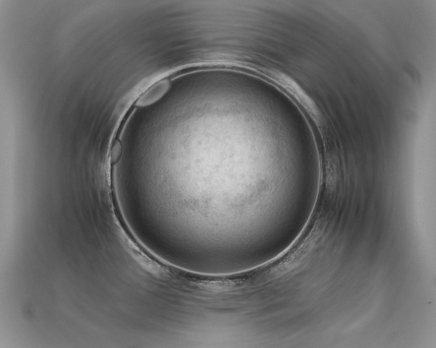 X0000113591388200909181322