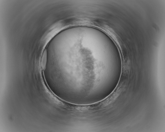 X0000113591389200909181322