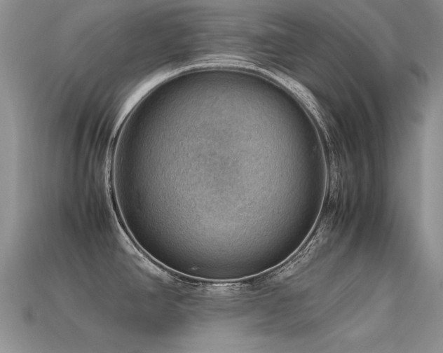 X0000113591390200909181322