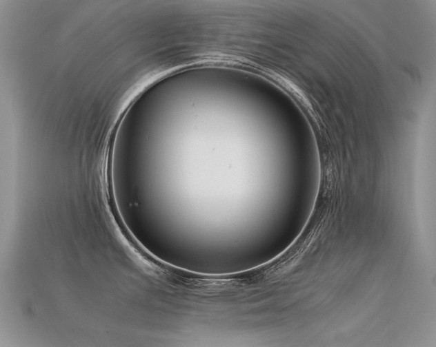 X0000113591391200909181322