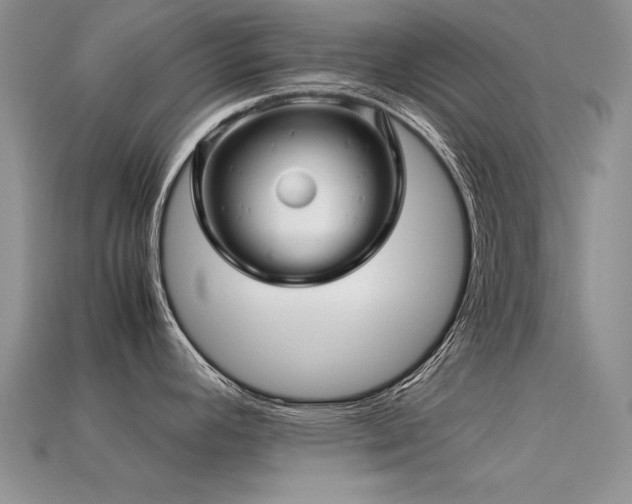 X0000113591392200909181322