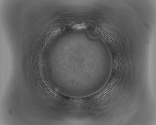 X0000113591393200909181321