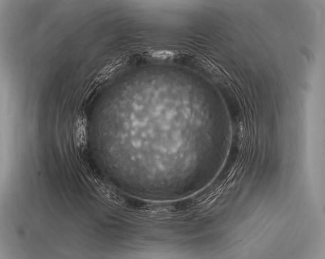 X0000113591394200909181321