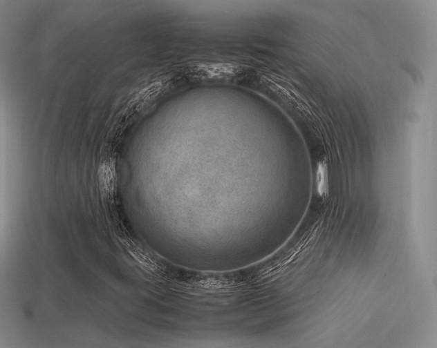 X0000113591395200909181321