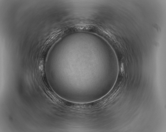 X0000113591396200909181322