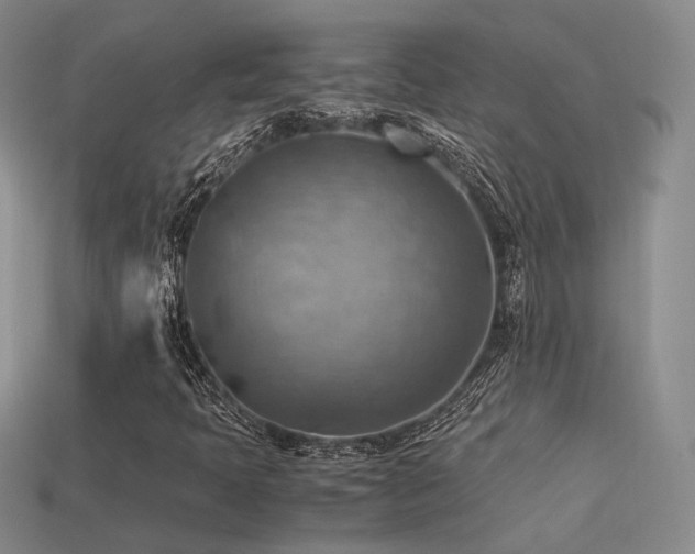 X0000113591397200909181322