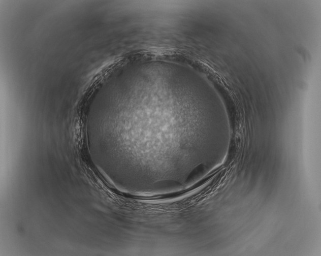 X0000113591398200909181322