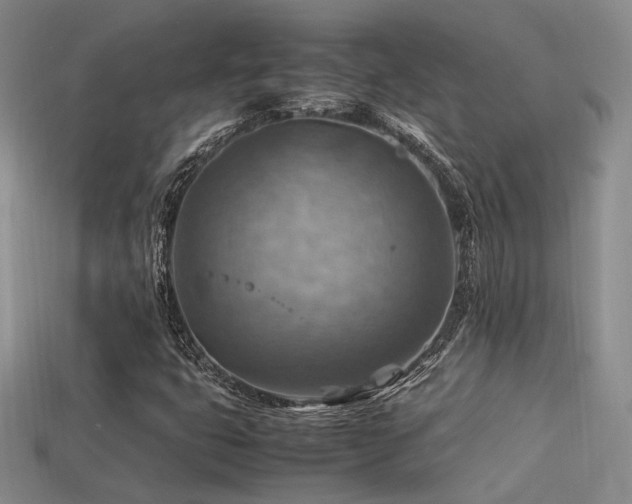 X0000113591399200909181322