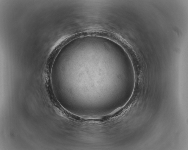 X0000113591400200909181322