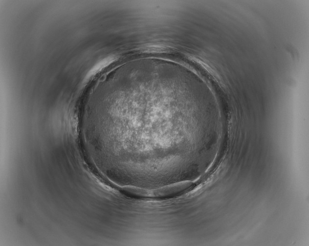 X0000113591402200909181322