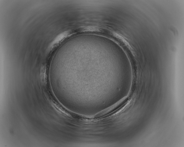 X0000113591403200909181322