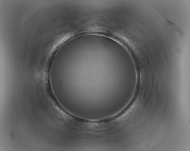 X0000113591405200909181322