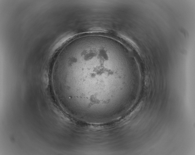 X0000113591407200909181322