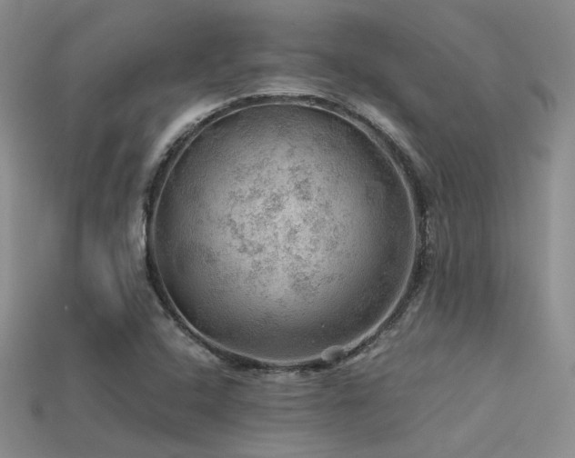 X0000113591408200909181322