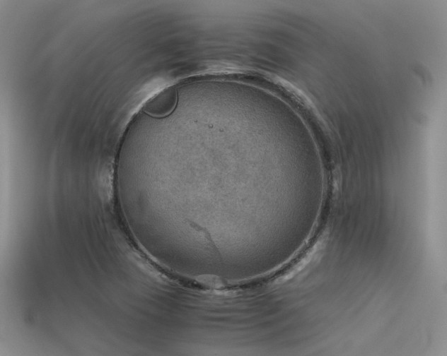 X0000113591409200909181322