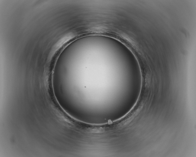 X0000113591410200909181322